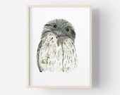 Tawny Frogmouth Art, Australian Native Bird Print, Fauna Watercolour, Australiana Gift, 5 x 7, 8 x 10, A4, Aussie Nursery Home Decor