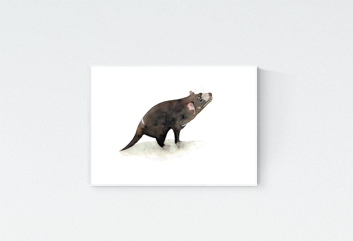 Tasmanian Devil Print Australian Native Animal Wall Art | Etsy