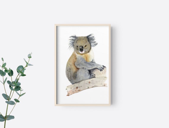 Koala Wall Art Australian Native Animal Print Aussie Australia - How To Tell What Animal Is In My Wall Australia Koala Wall Art Australian Native Animal Print Aussie Australia - How To Tell What Animal Is In My Wall Australia