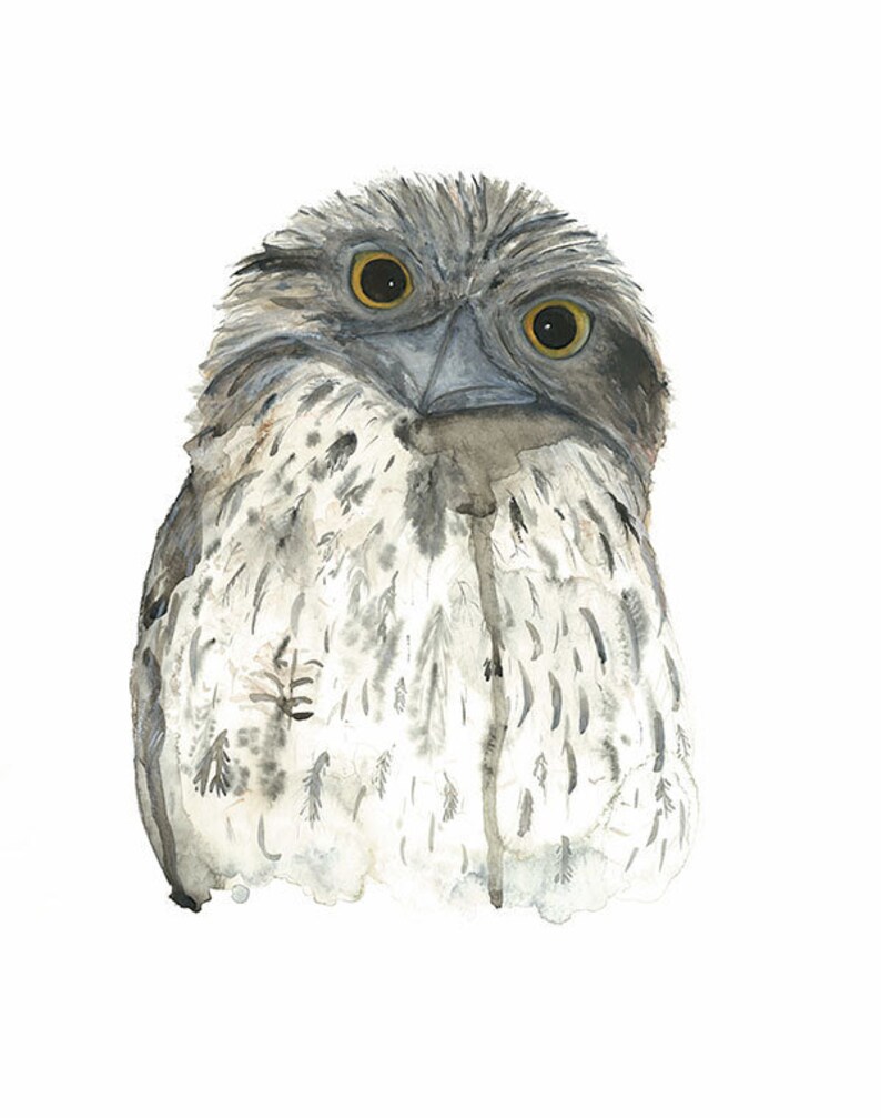 Tawny Frogmouth Print Australian Native Bird Wall Art Etsy