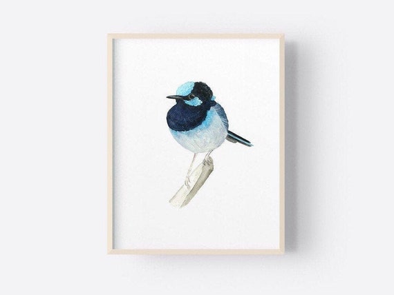 Blue Superb Fairy Wren Australian Bird Print Superb Fairy-wren Wall Art Printable