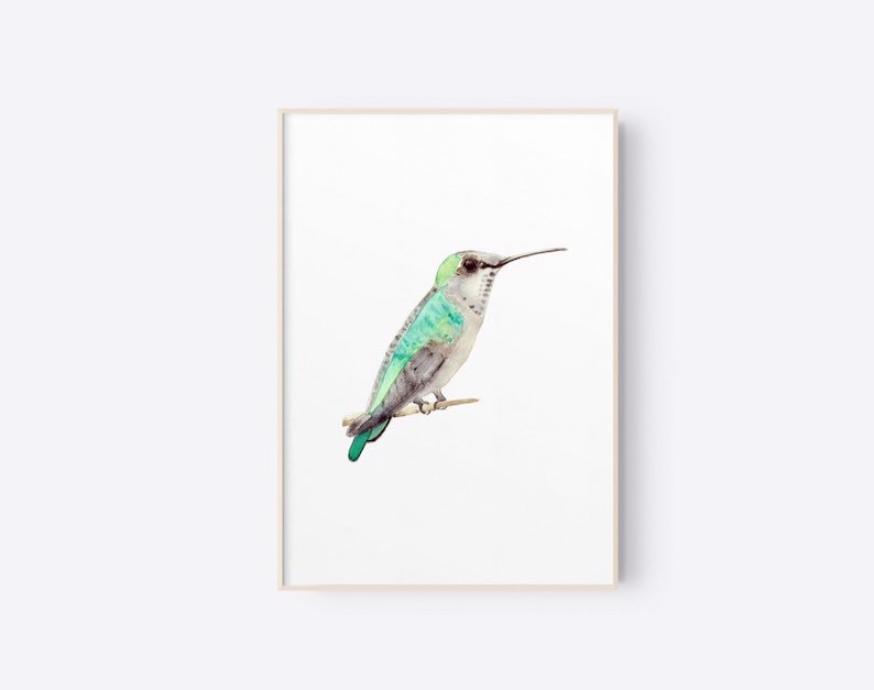Ruby Throated Hummingbird C Art Print Home Decor Wall Art Poster Ruby Throated Hummingbird C Art Print Home Decor Wall Art Poster