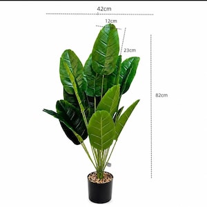 Puede incluir: Una planta artificial de hojas verdes grandes y anchas en una maceta cilíndrica negra rellena de piedras pequeñas. Las líneas de medida indican una altura total de 82 cm, una anchura de 42 cm y segmentos de hoja de 23 cm y 12 cm.