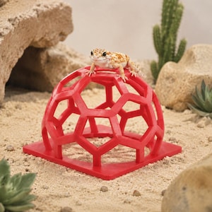 May include: A bright red, hollow, dome-shaped climbing structure with a geometric hexagonal lattice pattern and a square base. A small, spotted yellow and white leopard gecko is perched on top of the red plastic dome structure.