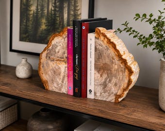 Petrified Wood Bookends – Where Ancient Nature Meets Timeless Design