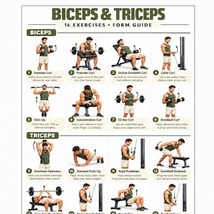 16 Arm Exercises Chart PDF, Biceps Triceps Exercise Poster, Arm Workout Form Guide Printable,  Olive Green Gym Wall Decor, Home Gym Print