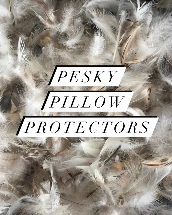 feathers poking out of pillow