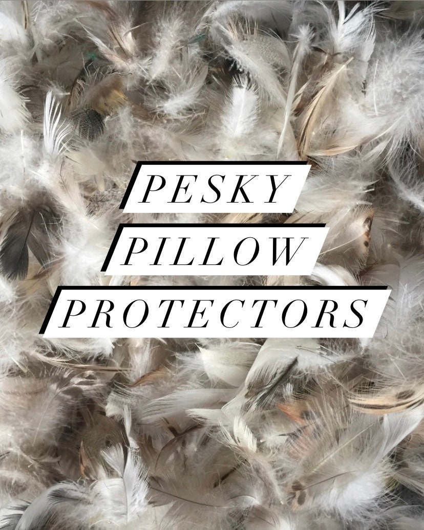 pillow feathers poking