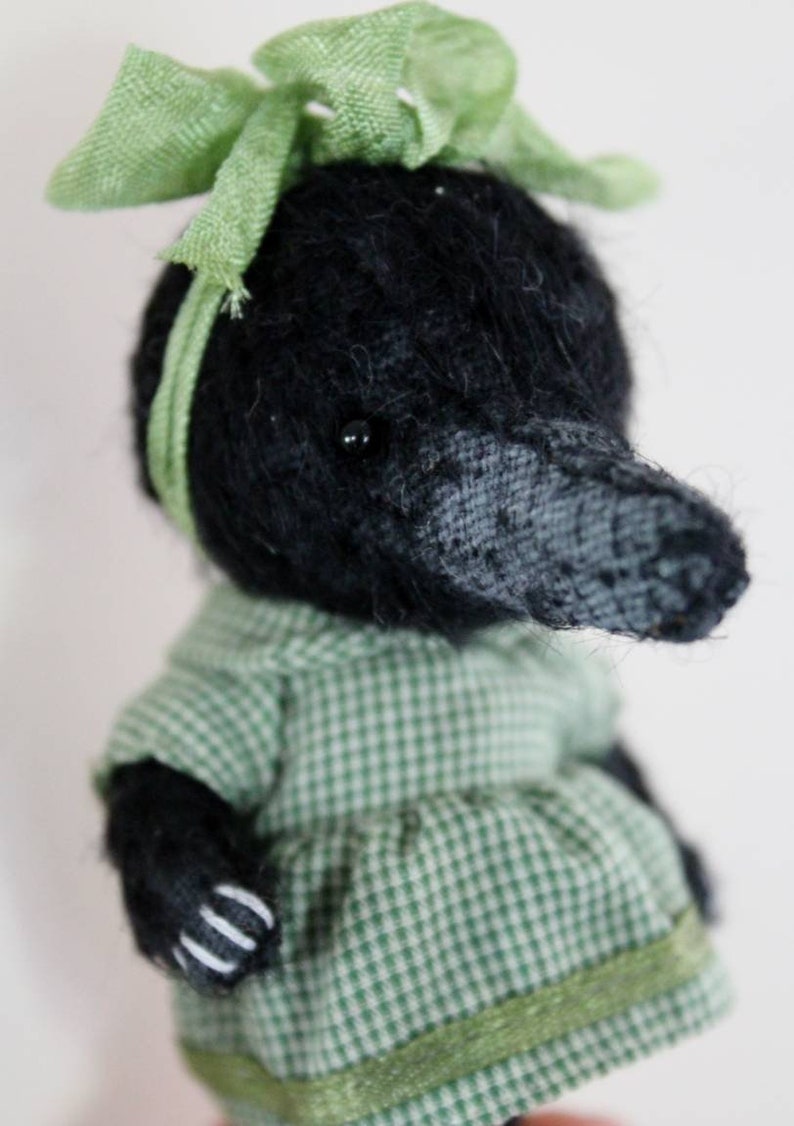 mole teddy