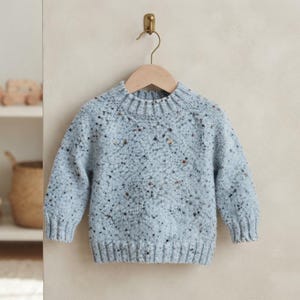 May include: A light blue long-sleeve jumper featuring a speckled pattern with small brown, black, and white flecks throughout the knit fabric. The garment has a ribbed crew neckline, ribbed cuffs, and a ribbed hem, hanging on a wooden hanger.