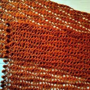 May include: A hand-crocheted scarf in a rich, burnt orange hue. The scarf has an open, lacy design and is trimmed with small tassels. The colour and texture evoke a sense of warmth, making it a suitable accessory for cooler weather.