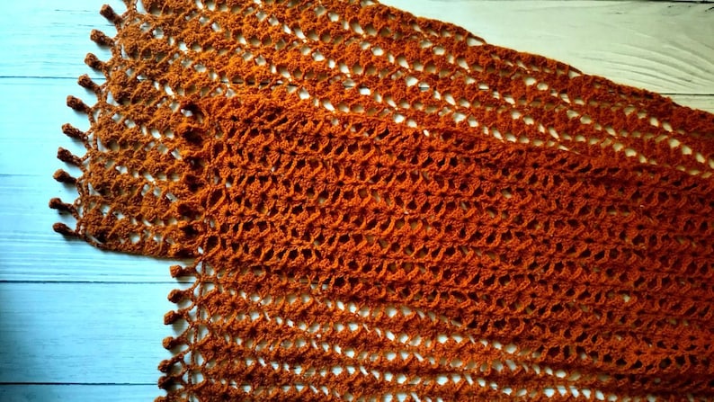 May include: A hand-crocheted scarf in a rich, burnt orange hue. The scarf has an open, lacy design and is trimmed with small tassels. The colour and texture evoke a sense of warmth, making it a suitable accessory for cooler weather.
