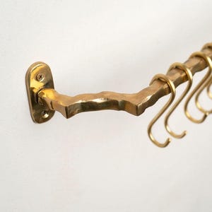 May include: A wall-mounted brass rail featuring a textured, organic, branch-like design. The rail is secured by an oval-shaped mounting plate with two visible screws and includes several matching S-shaped hooks hanging from the horizontal bar.