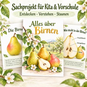 Pode incluir: Três cartões educativos intitulados Alles über Birnen, Die Birne e Was steckt in der Birne? com ilustrações em aguarela de peras, flores de pereira e pomares, acompanhados de textos em alemão sobre a anatomia e crescimento do fruto.