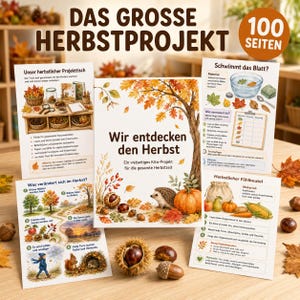 May include: A 100-page educational book titled Wir entdecken den Herbst featuring a hedgehog and pumpkin illustration, accompanied by four instructional activity cards with text and diagrams about autumn nature projects and seasonal observations.