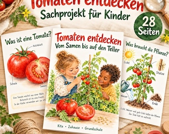 Tomatprojekt för förskolan – 28 sidor med faktainformation, experiment, presentationer, livlig bild och målarbild | Grundskolan