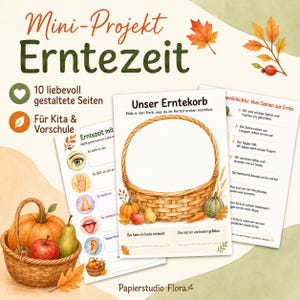 Op de afbeelding: Een set educatieve werkbladen getiteld Mini-Projekt Erntezeit met illustraties van een gevlochten mand, pompoenen, appels en peren. De pagina's bevatten opdrachten voor kinderen om te tekenen en te schrijven over de herfstoogst en zintuiglijke ervaringen.
