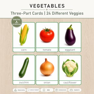 May include: A set of educational three-part cards titled VEGETABLES Three-Part Cards | 24 Different Veggies. The cards feature illustrations of corn, tomato, eggplant, zucchini, onion, and cauliflower with their names printed below each vegetable.