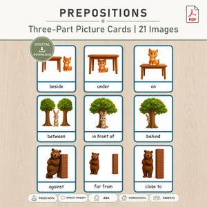 Può includere: Un set di carte educative sulle preposizioni con 21 immagini di animali in varie posizioni. Le carte mostrano etichette di testo come beside, under, on, between, in front of, behind, against, far from e close to con illustrazioni a cartoni.