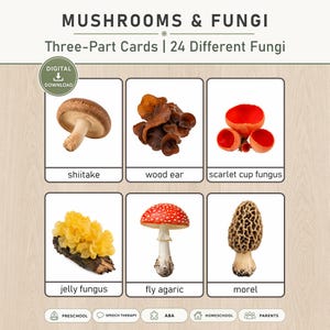 Montessori Mushrooms & Fungi 3-Part Cards | 24 Printable Science Vocabulary (PDF)
