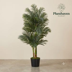 Planthaven 4 Ft Artificial Golden Cane Palm Tree with Nursery Pot | Double-Stalk Faux Palm Plant | Realistic Indoor Tropical Home Decor