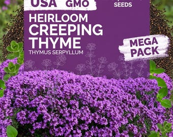 May include: A purple seed packet labeled Heirloom Creeping Thyme Thymus Serpyllum with text stating Made in USA, Non GMO, and 20,000 Seeds Mega Pack. The background features a dense cluster of small, vibrant purple flowers and green leaves.