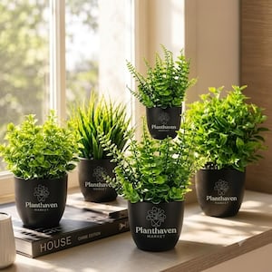May include: Four artificial green plants in matte black pots, each featuring the white logo Planthaven Market. The plants have varied foliage textures, including rounded leaves and thin grass-like blades, arranged on a surface near a window.