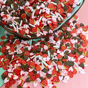Chocolate and Strawberries Sprinkle Mix,Polymer Clay Fake Sprinkles, Decoden Funfetti