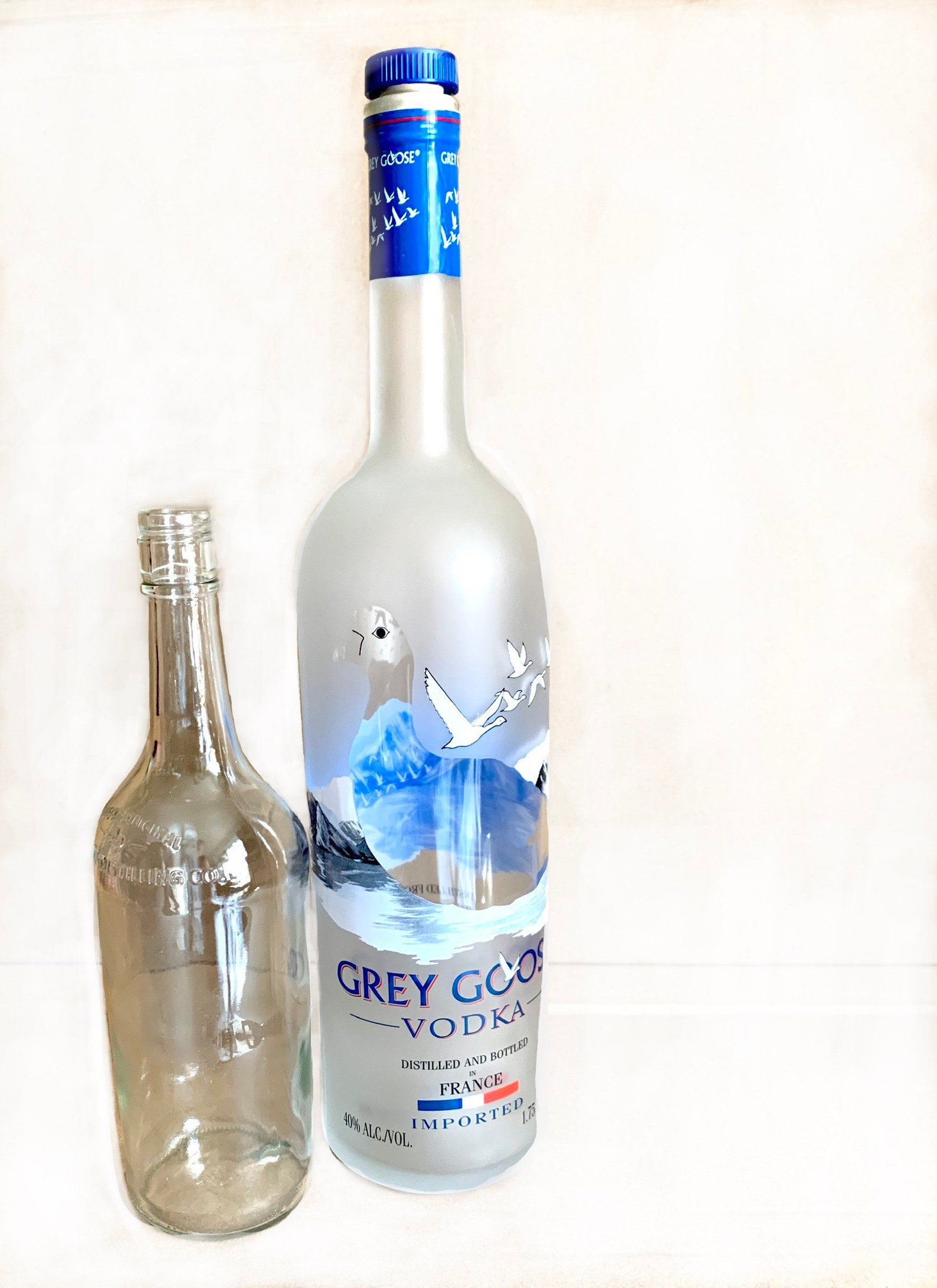 Giant Gray Goose Bottle Etsy