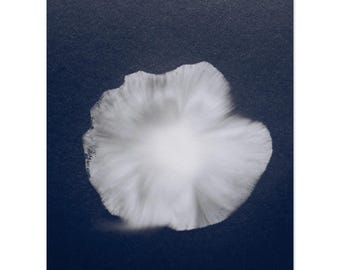Museum-Quality Matte Paper Poster