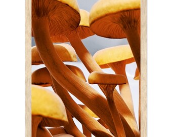 Mushroom Photography Poster: Wooden Frame, Matte Paper (Ready-to-Hang)