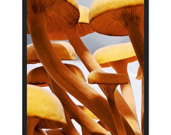 Classic Semi-Glossy Paper Wooden Framed Poster