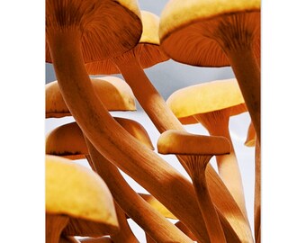 Classic Matte Paper Poster with Hanger