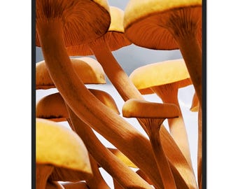 Framed Mushroom Photography Poster: Semi-Glossy Paper, Pine Wood Frame