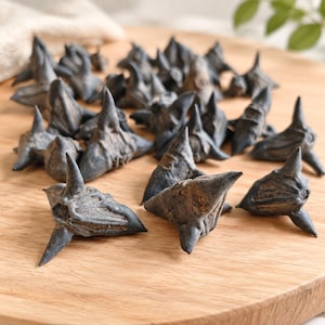 May include: A collection of dried water caltrop nuts, also known as devil pods, featuring a dark, charcoal-gray exterior with a hard, multi-pointed, horned shell structure. These organic, geometric seed pods are scattered across the surface.