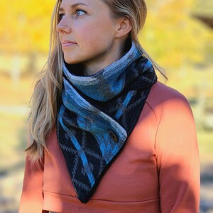 Teal and Black Southwest Adventure Snap Scarf image 7