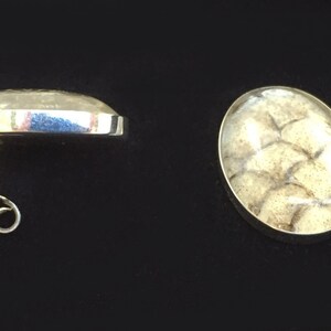 Lohi -fish skin and silver earrings