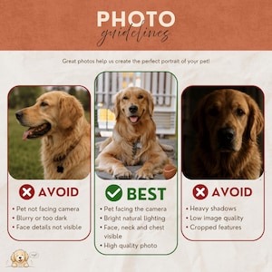 Pode incluir: Um gr&aacute;fico informativo intitulado PHOTO guidelines com tr&ecirc;s pain&eacute;is mostrando c&atilde;es golden retriever. Os pain&eacute;is esquerdo e direito mostram exemplos a evitar, enquanto o painel central mostra o melhor exemplo com etiquetas de texto.
