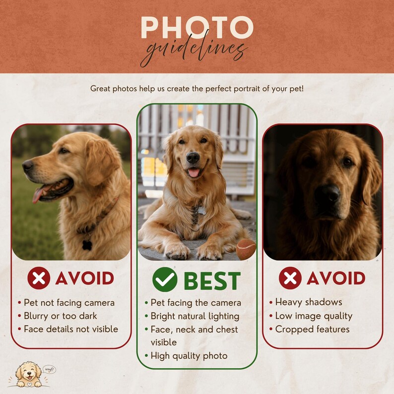 Pode incluir: Um gr&aacute;fico informativo intitulado PHOTO guidelines com tr&ecirc;s pain&eacute;is mostrando c&atilde;es golden retriever. Os pain&eacute;is esquerdo e direito mostram exemplos a evitar, enquanto o painel central mostra o melhor exemplo com etiquetas de texto.