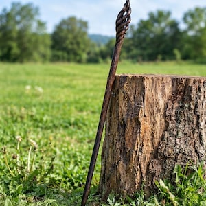 Puede incluir: Una varita de madera de color marr&oacute;n oscuro con un mango largo y delgado y una parte superior decorativa en forma de jaula espiral. La madera muestra un patr&oacute;n de veta natural con un acabado pulido, apoyada contra un toc&oacute;n de &aacute;rbol rugoso.