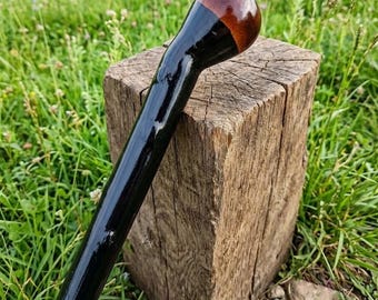 May include: A walking stick featuring a long, smooth, glossy black shaft and a rounded, polished dark brown wooden handle. The handle transitions from a deep mahogany tone at the top to a solid black finish along the length of the shaft.