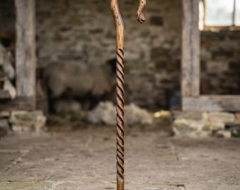 May include: A tall, brown wooden shepherd's crook featuring a distinct spiral-twisted shaft and a curved handle at the top. The wood displays a visible grain pattern throughout the length of the staff, which stands upright on a flat surface.