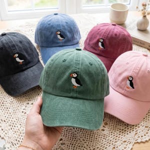 Op de afbeelding: Een collectie van vijf baseballpetten in antraciet, blauw, groen, bordeauxrood en roze, elk voorzien van een geborduurde papegaaiduiker op het voorpaneel. De petten hebben een gestructureerde kroon, een gebogen klep en een knoop aan de bovenkant.