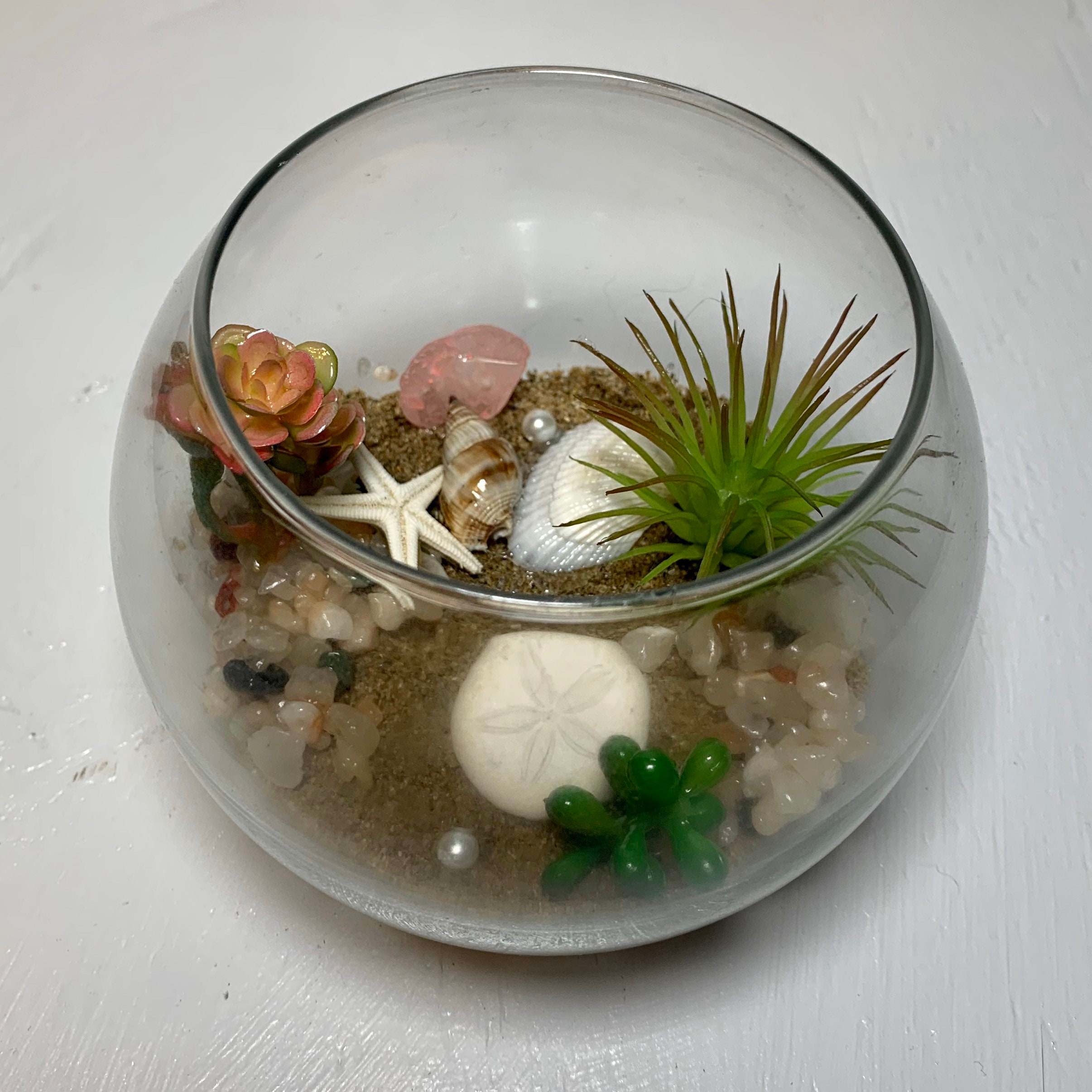 Glass Fish Bowl Terrarium Beach Scene Decor con conchas Etsy