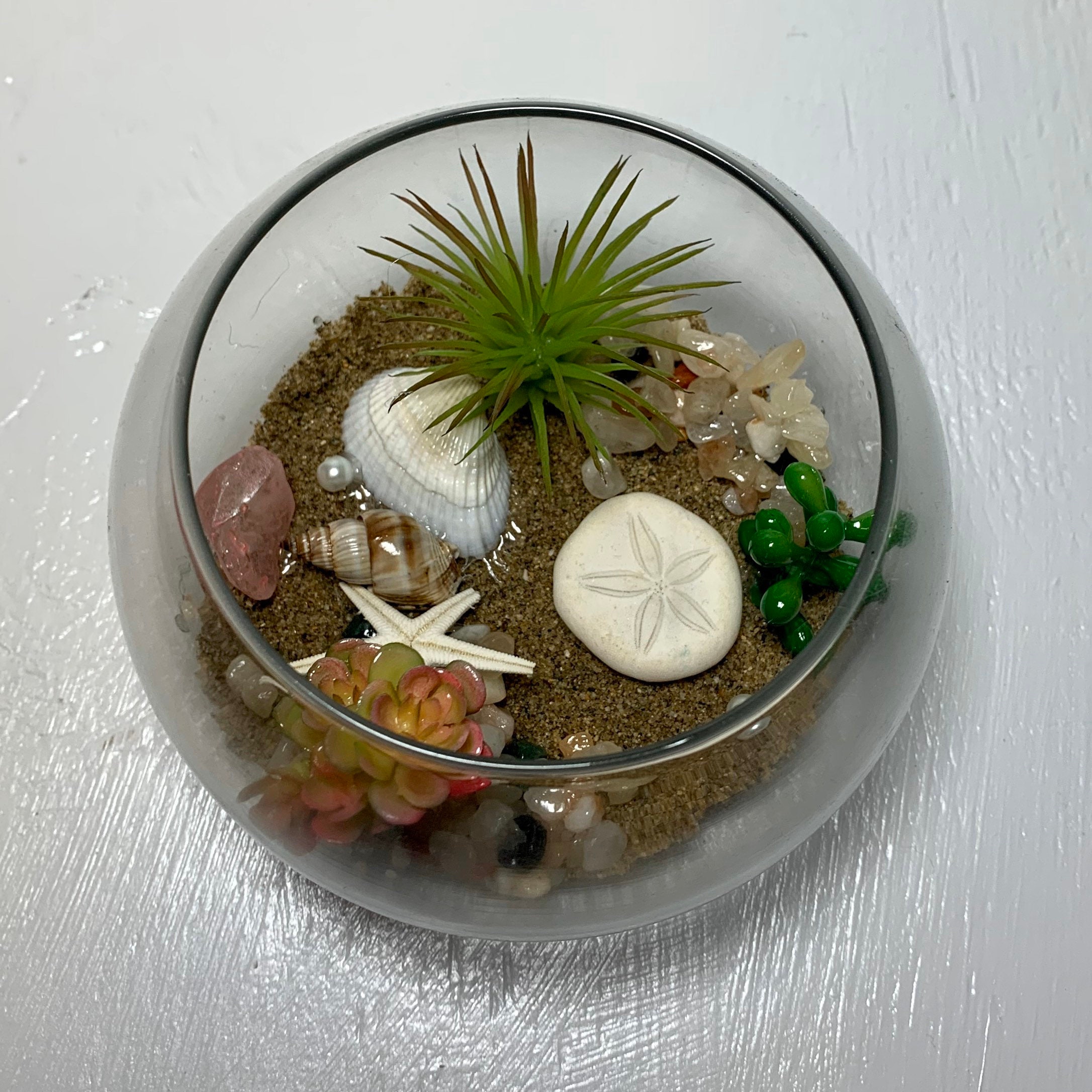 Glass Fish Bowl Terrarium Beach Scene Decor con conchas Etsy