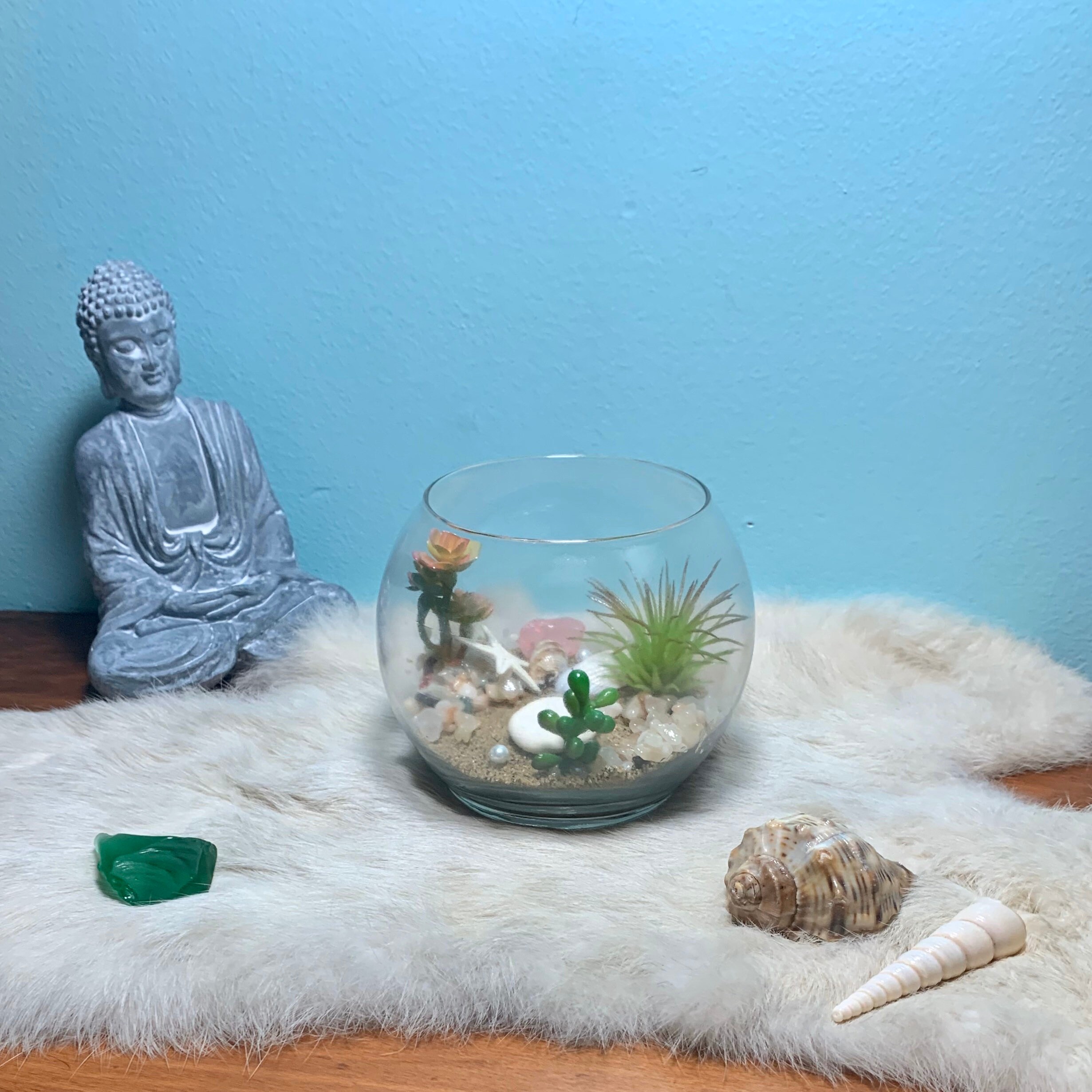Glass Fish Bowl Terrarium Beach Scene Decor con conchas Etsy