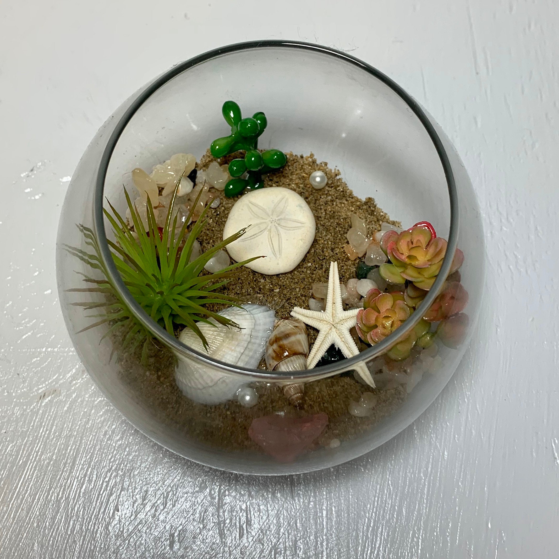 Glass Fish Bowl Terrarium Beach Scene Decor con conchas Etsy