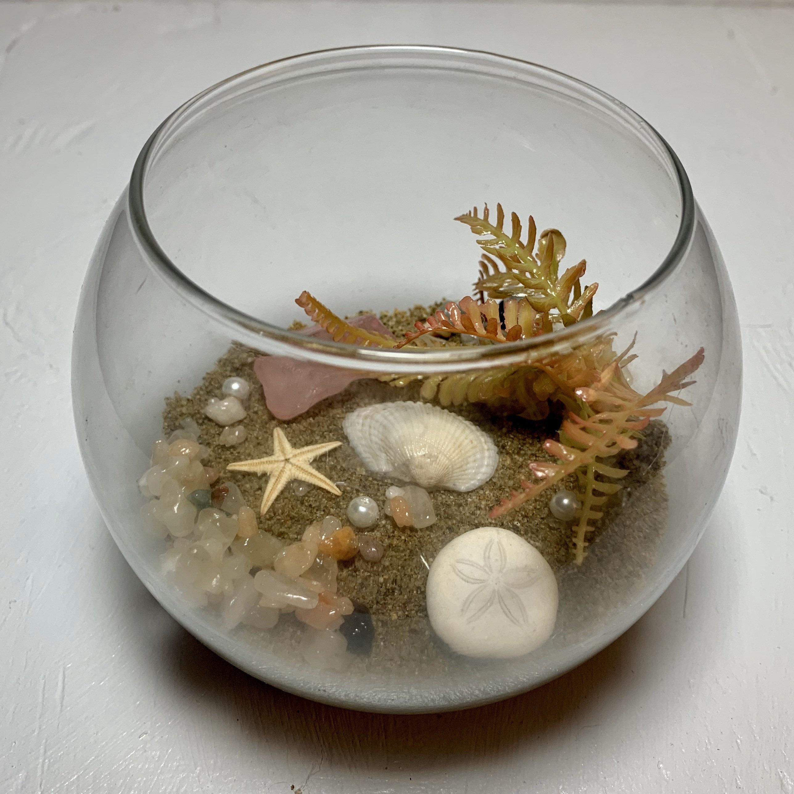 Glass Fish Bowl Terrarium Beach Scene Decor con conchas Etsy