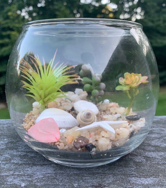 Seashell Fish Bowl Terrarium Etsy