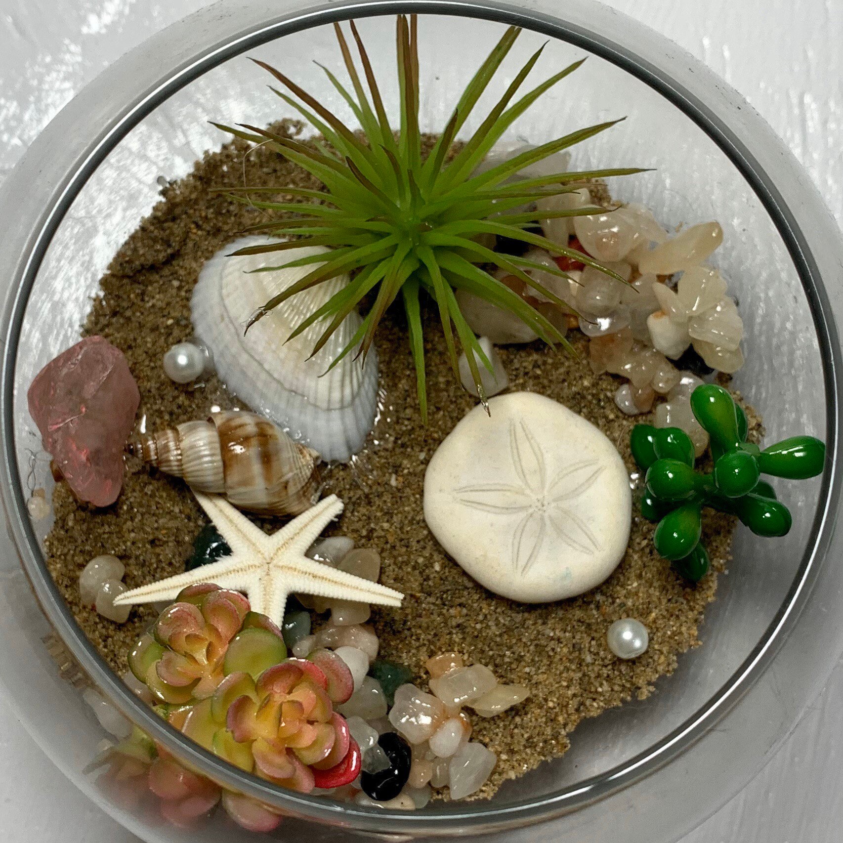 Glass Fish Bowl Terrarium Beach Scene Decor con conchas Etsy